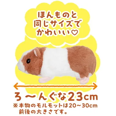 【メーカー取寄】3264-1 すすめ！モル・ルンルン
