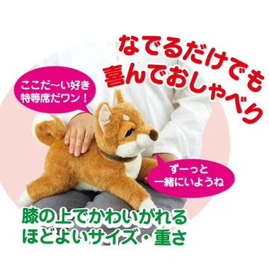 |メーカー品切れ中|【メーカー取寄】おはようで始める なごみケーションわんこ（柴犬）