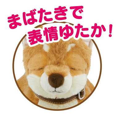 【メーカー取寄】おはようで始める なごみケーションわんこ（柴犬）