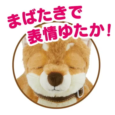 |メーカー品切れ中|【メーカー取寄】おはようで始める なごみケーションわんこ（柴犬）