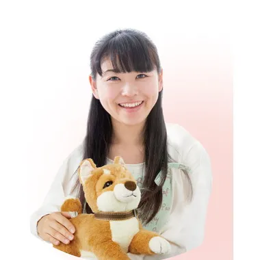 |メーカー品切れ中|【メーカー取寄】おはようで始める なごみケーションわんこ（柴犬）