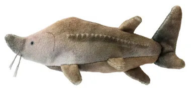 【メーカー取寄】9260040 たまごがポン（チョウザメ）