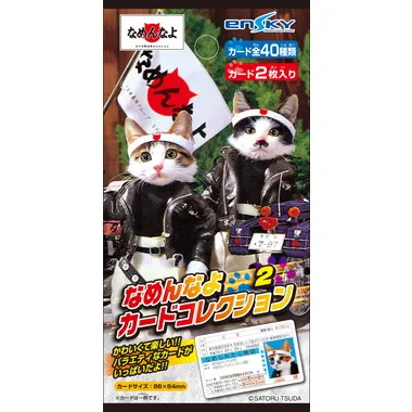 【メーカー取寄】なめんなよカードコレクション２　なめんなよ