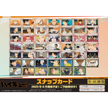 【メーカー取寄】アニメ「ハイキュー!!」 スナップカード