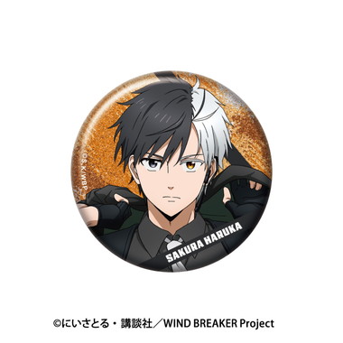 【メーカー取寄】TVアニメ『WIND BREAKER』 ラメキラカンバッジコレクション2