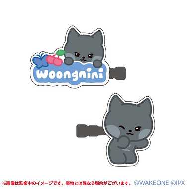 【メーカー取寄】zeroni アクリルヘアクリップ ②woongnini