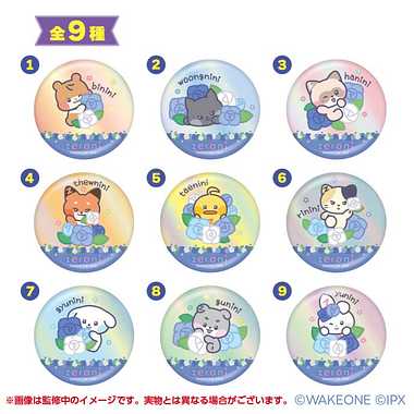 【メーカー取寄】zeroni オーロラカンバッジコレクション
