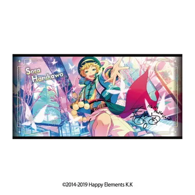 【メーカー取寄】ビジュアルバスタオル vol.6　49.春川宙