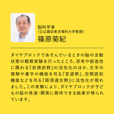 ND-15 ダイヤブロック OKOMEIRO(オコメイロ)　いろんなたべもの