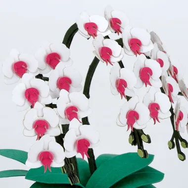 PS-22 ペーパーナノ 360 胡蝶蘭