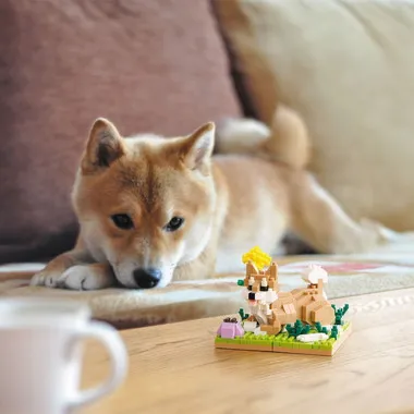 予約】NBC_414 ナノブロック 柴犬 | 玩具卸売 カワダオンライン
