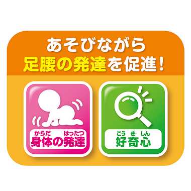 |メーカー品切れ中|【メーカー取寄】あそんで夢中！たのしく成長！NEWアンパンマンハイハイでおいかけっこ!!