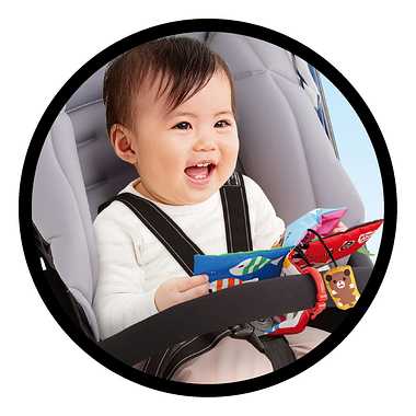 おそとでしかけえほん いきもの