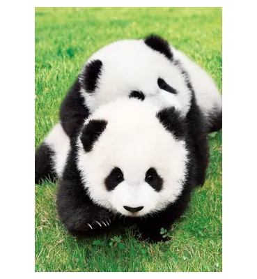 【メーカー取寄】01-060 なかよしパンダ