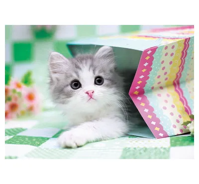 【メーカー取寄】01-066 ひょこっ