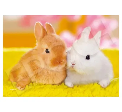 【メーカー取寄】03-083 ほっぺがぴったんこ