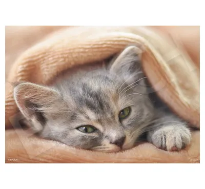 |メーカー品切れ中|【メーカー取寄】03-090 おきませんので