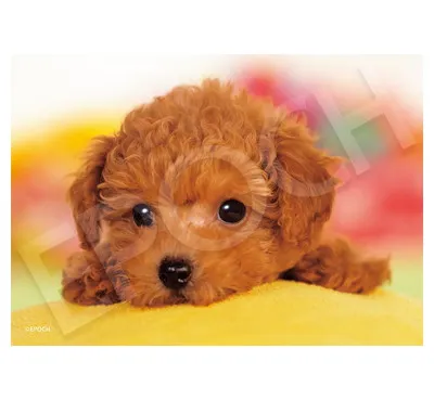 【メーカー取寄】03-095 あそばないの？