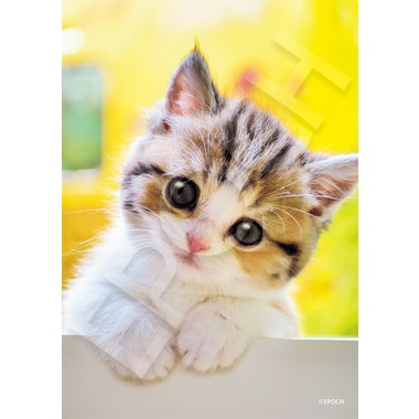 【メーカー取寄】03-096 にゃんだろう？