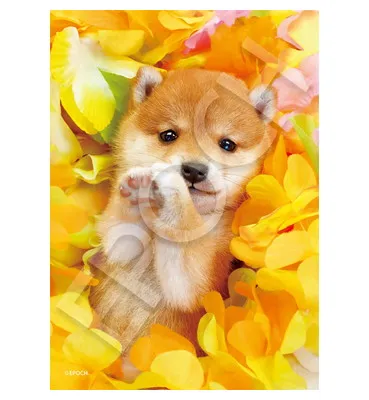 【メーカー取寄】04-301 フローラルパピー