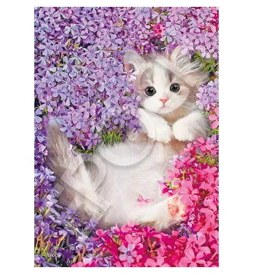 【メーカー取寄】04-302 ビューティキティ