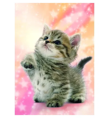 【メーカー取寄】04-530 なにかニャ？