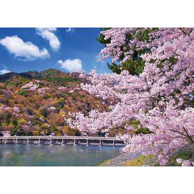 【メーカー取寄】05-116 渡月橋の満開桜-京都