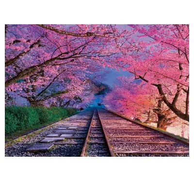 【メーカー取寄】05-123ｓ 桜の蹴上インクライン-京都