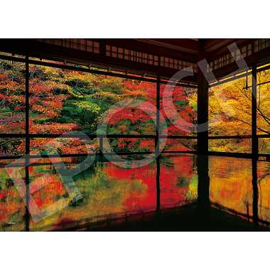【メーカー取寄】05-203ｓ 瑠璃光院の紅葉－京都