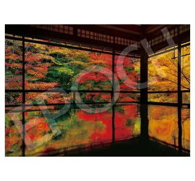 【メーカー取寄】05-203ｓ 瑠璃光院の紅葉－京都