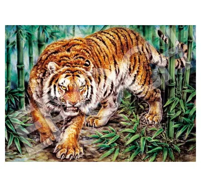 【メーカー取寄】06-121ｓ 猛虎竹林図