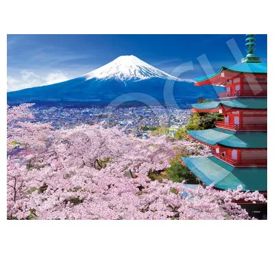 06-303s 春風富士と五重塔-山梨