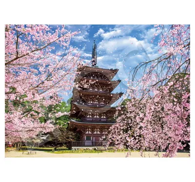 【メーカー取寄】07-472s 醍醐寺の桜と五重塔―京都