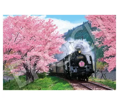 【メーカー取寄】09-020s 桜と大井川鐵道-静岡
