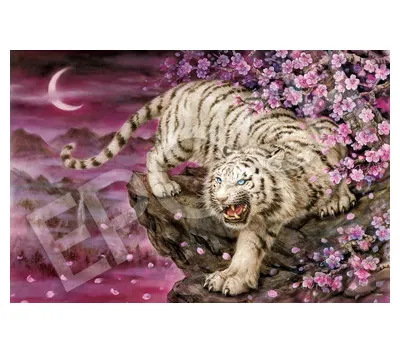 【メーカー取寄】11-605ｓ 桜花白虎