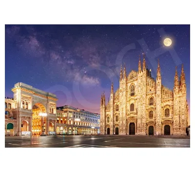 【メーカー取寄】11-620s 壮麗なるミラノ大聖堂―イタリア