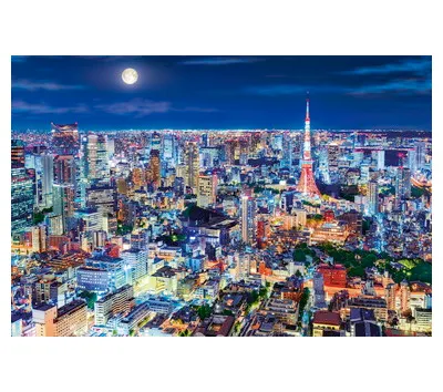 【メーカー取寄】12-514ｓ 煌めく東京の夜-東京