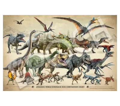 【メーカー取寄】12-521s ジュラシック・ワールド／新たなる支配者 サイズチャート