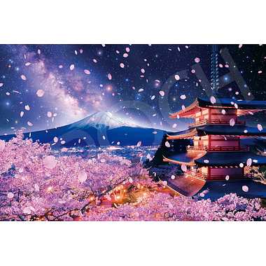 22-107s 浅間神社から望む夜桜富士