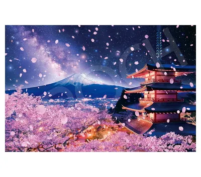 【メーカー取寄】22-107s 浅間神社から望む夜桜富士