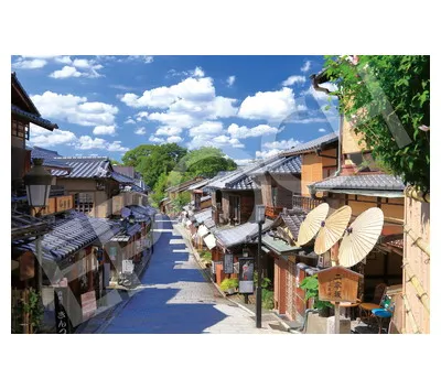 【メーカー取寄】22-120s 二年坂-京都