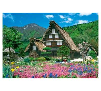 【メーカー取寄】３００Ｐ　花咲く白川郷－岐阜