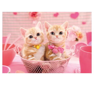 【メーカー取寄】25-164 ももいろにゃんこ