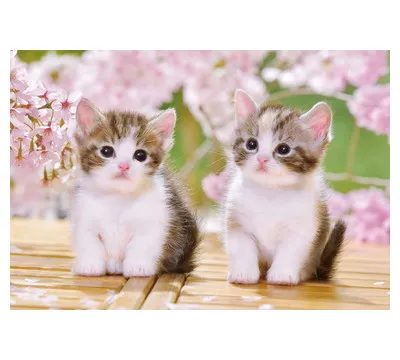 【メーカー取寄】25-183 おすわりこねこにゃん