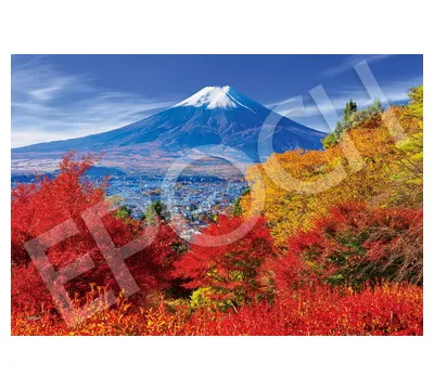 【メーカー取寄】26-357ｓ 紅葉と富士山