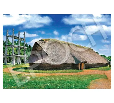 【メーカー取寄】26-360ｓ 三内丸山遺跡［日本］