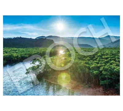 【メーカー取寄】26-361ｓ 西表島［日本］