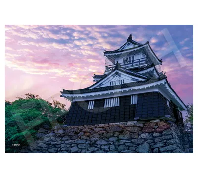 【メーカー取寄】26-375s 夕暮れの浜松城―静岡