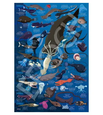 【メーカー取寄】26-808 深海生物図鑑　水深1000m～4000m