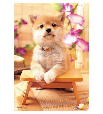 【メーカー取寄】28-049s わんこ日和